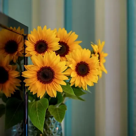 Arcus Muenchen Messe 펠트키르헨