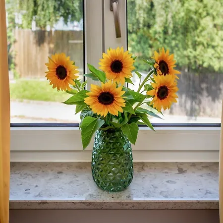 Arcus Muenchen Messe 펠트키르헨