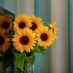 Arcus Muenchen Messe Feldkirchen