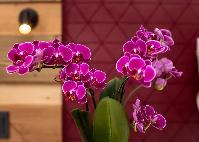 Arcus Muenchen Messe 4* Feldkirchen (Upper Bavaria)